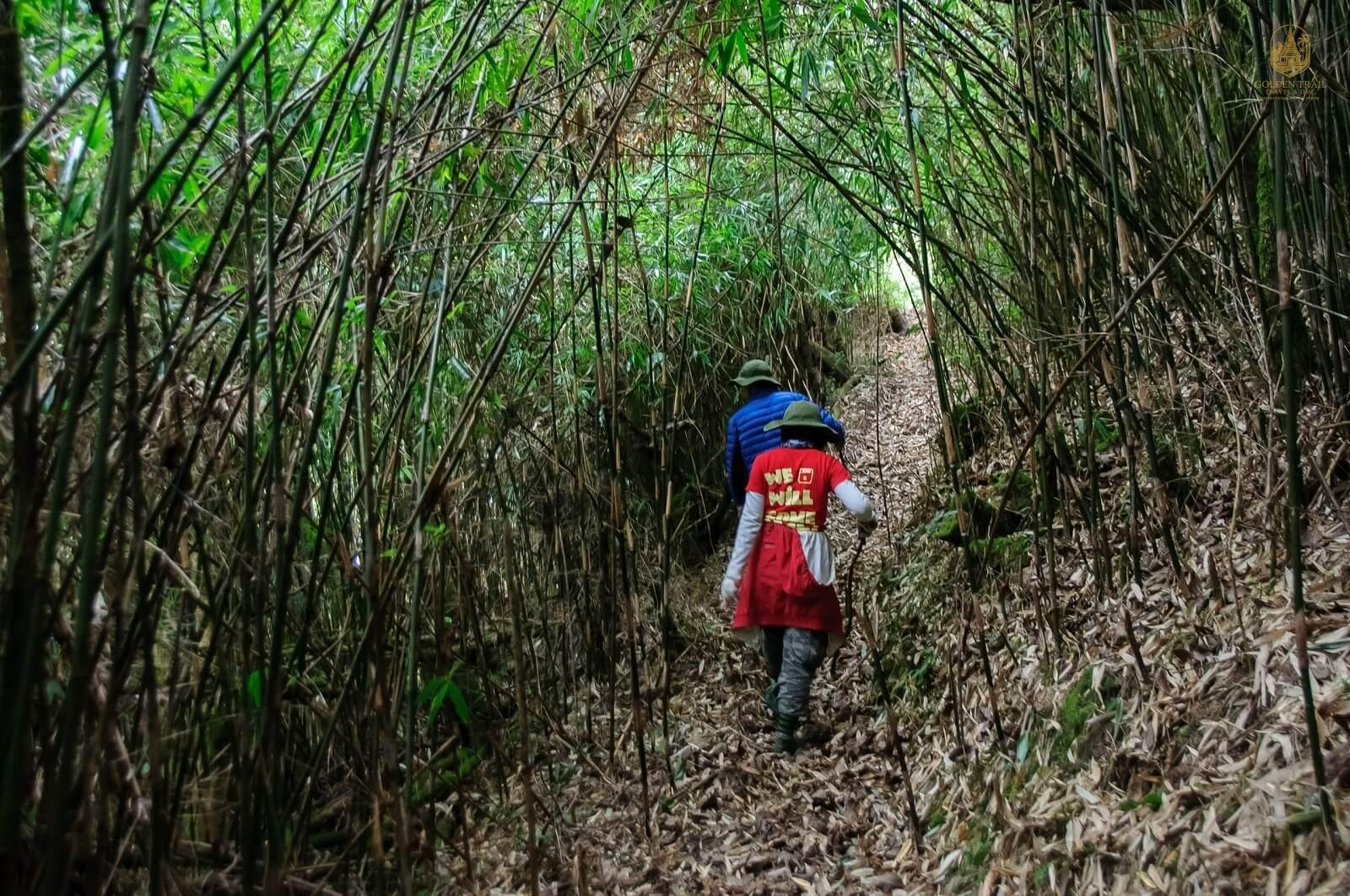 Pusilung Trekking Tour 4 Days: Conquer the 'Roof of the Border Region'